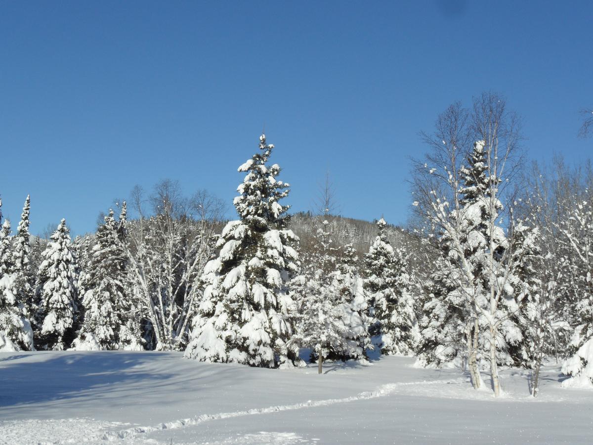 Auberge Le Relais Des Hautes Gorges Saint Aime Des Lacs Екстер'єр фото